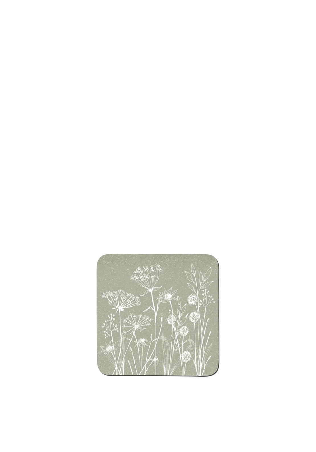 DENBY WILD FLOWERS SAGE GREEN SET OF 6 COASTERS