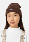 Dickies Gibsland Beanie, Java