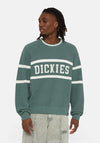 Dickies Melvern Oversized Sweater, Forest