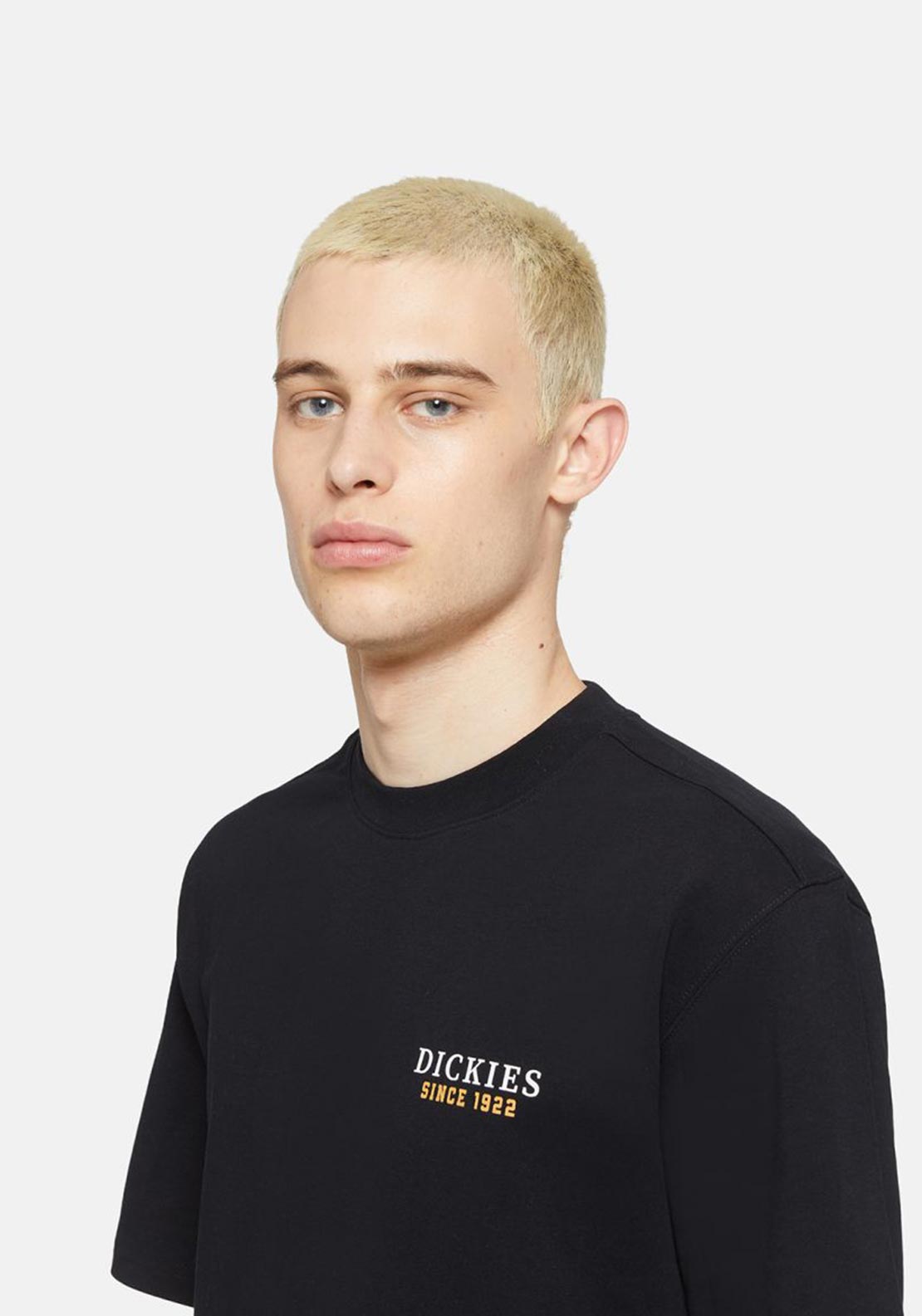 Dickies Westmoreland T-Shirt, Black