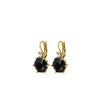 BEGONIA SG BLACK