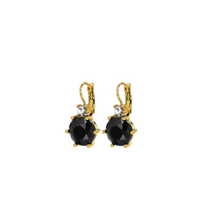 BEGONIA SG BLACK
