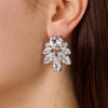 Dyrberg/Kern Drago Earrings, Silver