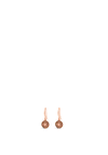 Absolute Pavé Brown CZ Drop Earrings, Rose Gold