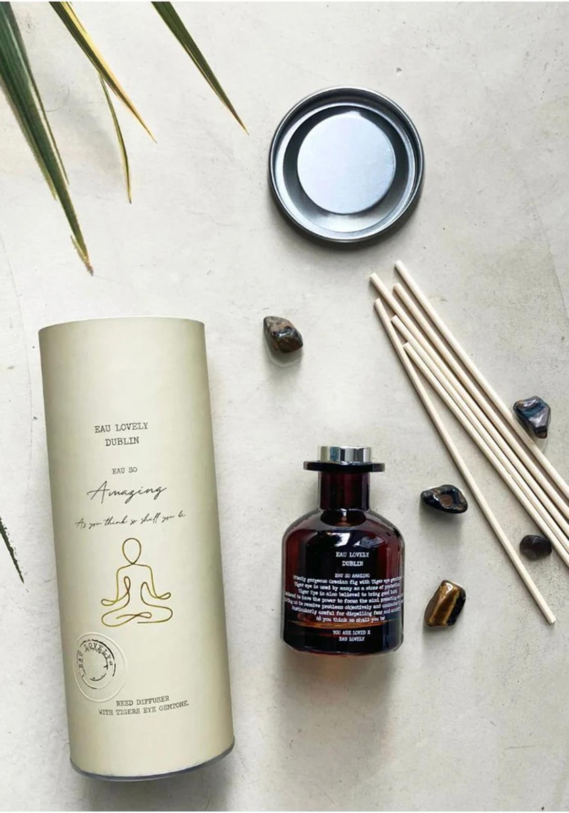 Eau Lovely Dublin Eau So Amazing Reed Diffuser