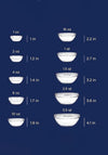 GLASS BOWL SET 10 PCE