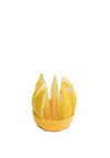 Eddingtons Citrus Keeper, 1 Piece