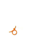 ORANGE PEELERS