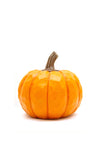 Enchante Harvest Resin Pumpkin