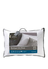 BOUTIQUE  SILK PILLOW PRF 4