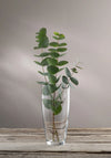 NUA 10 VASE