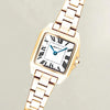 Gant Ladies Seneca Watch, Gold