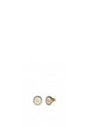 Guess Dreaming 4G Logo CZ Earrings, Gold