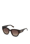 Guess GU768 Sunglasses, Dark Havana