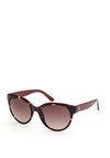 Guess GU7824 Sunglasses, Tortoise Shell