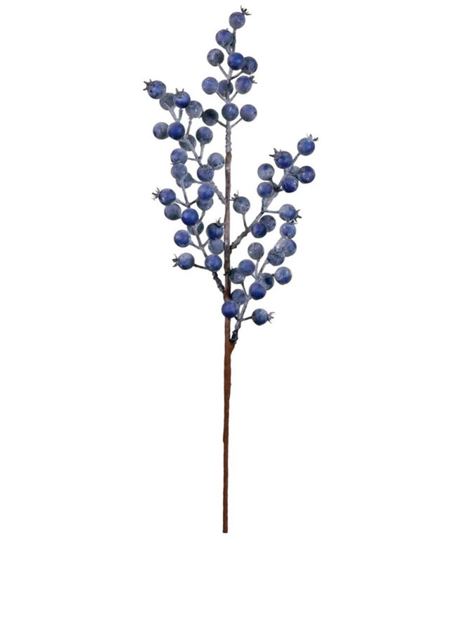 DUSTED SEASONAL BLUEBERRY STEM