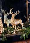 Luxe Gold Standing Reindeer With Collar