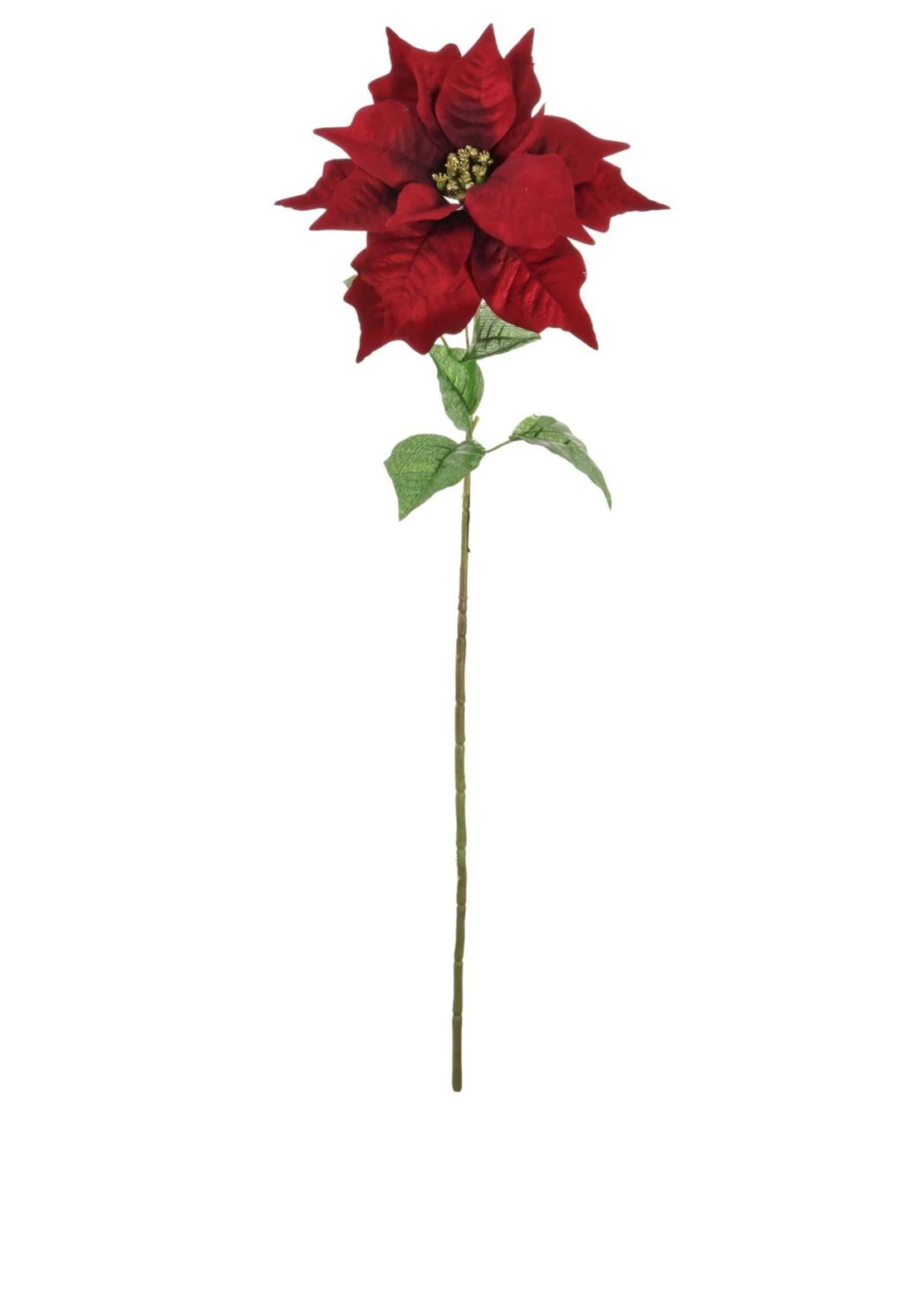 VELVET POINSETTIA WITH GLITTERED