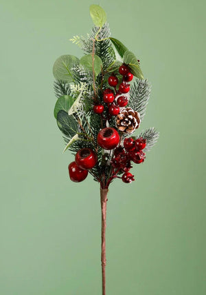 The Home Studio Premium Scarlet Rosehip Berry Medium Pic