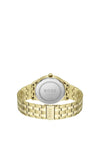 Hugo Boss Mens 1513897 Elite Watch, Gold & Black