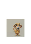 DOG BUDDY