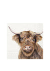 FARM HIGHLAND CATTLE CREAM