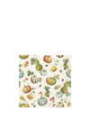 GOURDS AND PUMPKINS  CREAM