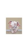 PIG RUFFY