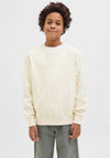 Jack & Jones Frederik Long Sleeve Sweater, Antique White