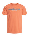 Jack & Jones Boys Lakewood Branding Short Sleeve Tee, Ginger