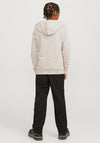 Jack & Jones Boy Kam Varsity Long Sleeve Hoodie, Moonbeam