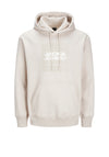 Jack & Jones Aero Front Print Hoodie, Neutral