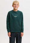 Jack & Jones Boy Boho Crewneck Sweater, Green