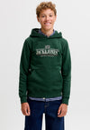 Jack & Jones Boy Fredrick Graphic Long Sleeve Hoodie, Green