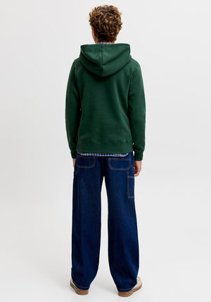 Jack & Jones Boy Fredrick Graphic Long Sleeve Hoodie, Green