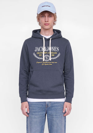 Jack & Jones Frederiksberg Graphic Hoodie, Blue Grey
