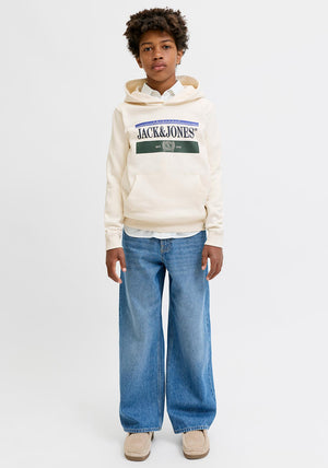 Jack & Jones Boy Fredrick Graphic Long Sleeve Hoodie, Cream