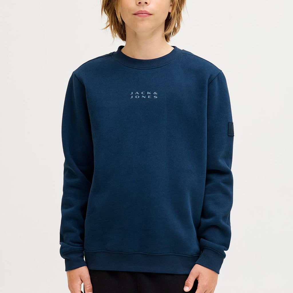 JACK AND JONES Heren Blaperfect Crew Neck jumpers Zwart