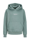 Jack & Jones Boys Vesterbro Long Sleeve Hoodie, Laurel Wreath