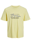 Jack & Jones Boy Splash Branding Short Sleeve Tee, French Vanilla
