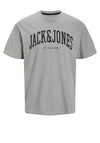 Jack & Jones Josh T-Shirt, White Melange