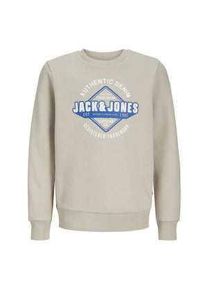Jack & Jones Boy Logo Long Sleeve Sweater, Moonbeam