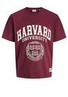 Jack & Jones Harvard T-Shirt, Maroon & Ecru