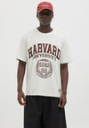 Jack & Jones Harvard T-Shirt, Ecru & Maroon