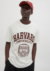 Jack & Jones Harvard T-Shirt, Ecru & Maroon