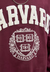 Jack & Jones Harvard Sweatshirt, Maroon