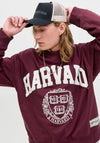 Jack & Jones Harvard Sweatshirt, Maroon