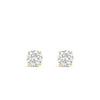 Absolute Solitaire Stud Earrings, Gold