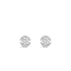 Absolute CZ Stud Earrings, Silver