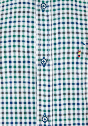 Andre Jackson Gingham Shirt, Green & Blue Multi